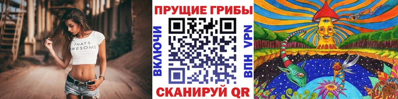 Псилоцибиновые грибы Cubensis  Купить закладки  Лихославль 